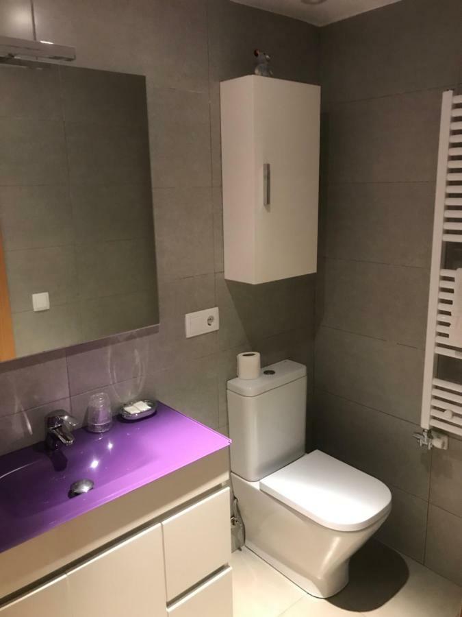 Apartaments Ca L'Albert Pobla de Segur Buitenkant foto